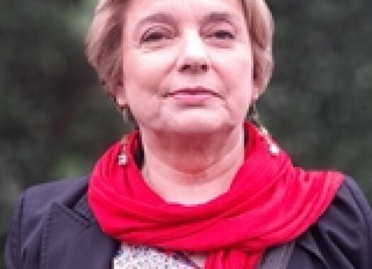 Maria José Magalhães